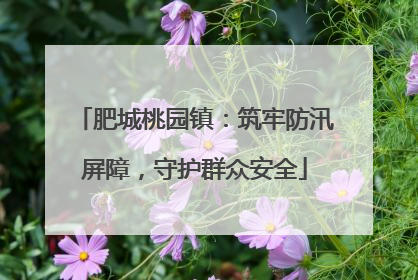 肥城桃园镇：筑牢防汛屏障，守护群众安全