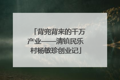 背兜背来的千万产业——清镇民乐村杨敏珍创业记