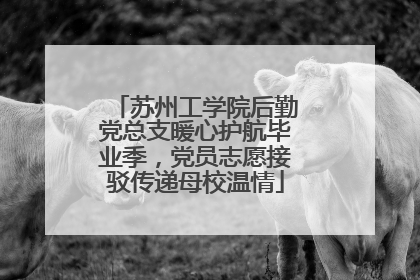 苏州工学院后勤党总支暖心护航毕业季，党员志愿接驳传递母校温情