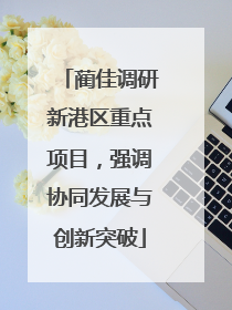 蔺佳调研新港区重点项目，强调协同发展与创新突破