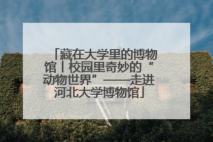 藏在大学里的博物馆丨校园里奇妙的“动物世界”——走进河北大学博物馆