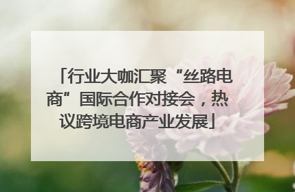 行业大咖汇聚“丝路电商”国际合作对接会，热议跨境电商产业发展
