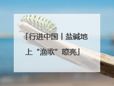 行进中国丨盐碱地上“渔歌”嘹亮