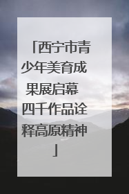 西宁市青少年美育成果展启幕 四千作品诠释高原精神