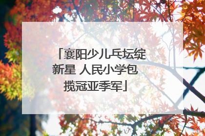 襄阳少儿乓坛绽新星 人民小学包揽冠亚季军