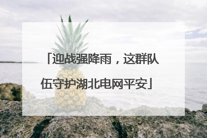 迎战强降雨，这群队伍守护湖北电网平安