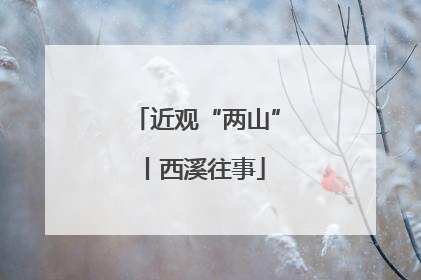 近观“两山”丨西溪往事