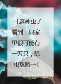 这种虫子看到一只家里很可能有一万只，除虫攻略→