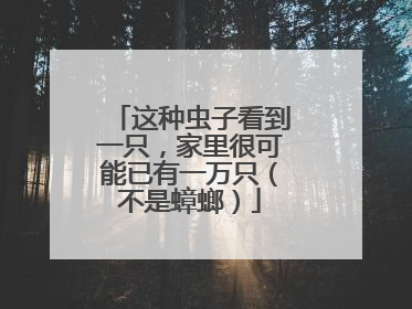 这种虫子看到一只，家里很可能已有一万只（不是蟑螂）