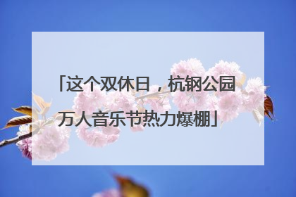 这个双休日，杭钢公园万人音乐节热力爆棚
