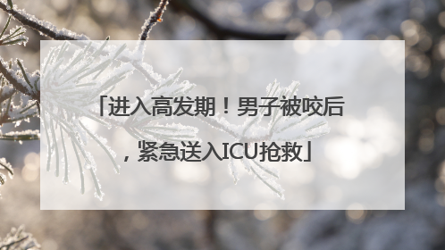 进入高发期！男子被咬后，紧急送入ICU抢救