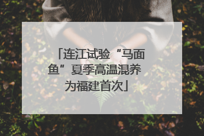 连江试验“马面鱼”夏季高温混养 为福建首次