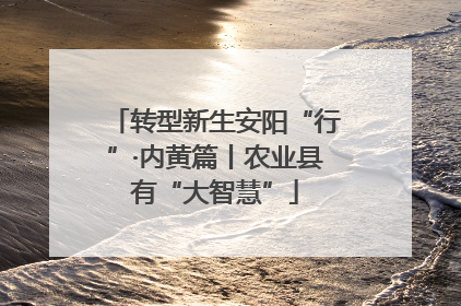 转型新生安阳“行”·内黄篇丨农业县有“大智慧”