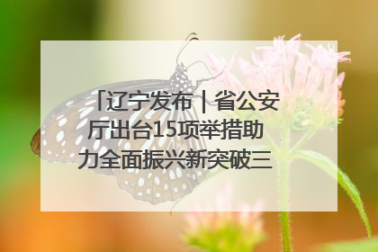 辽宁发布｜省公安厅出台15项举措助力全面振兴新突破三年行动决胜之战