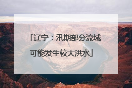 辽宁：汛期部分流域可能发生较大洪水