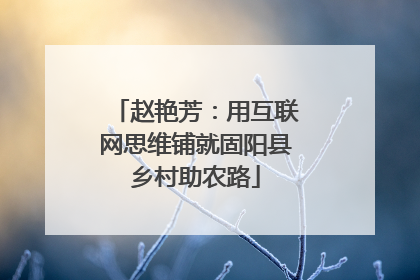 赵艳芳：用互联网思维铺就固阳县乡村助农路