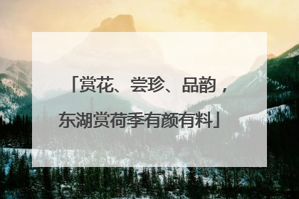 赏花、尝珍、品韵，东湖赏荷季有颜有料