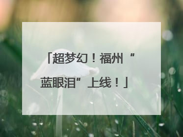 超梦幻！福州“蓝眼泪”上线！
