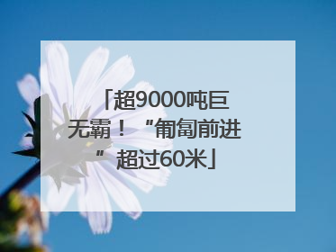 超9000吨巨无霸！“匍匐前进”超过60米