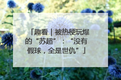 趣看｜被热梗玩爆的“苏超”：“没有假球，全是世仇”