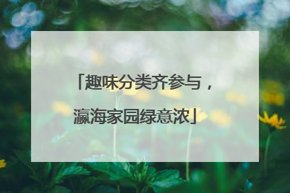 趣味分类齐参与，瀛海家园绿意浓