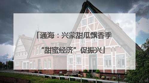 通海：兴蒙甜瓜飘香季 “甜蜜经济”促振兴