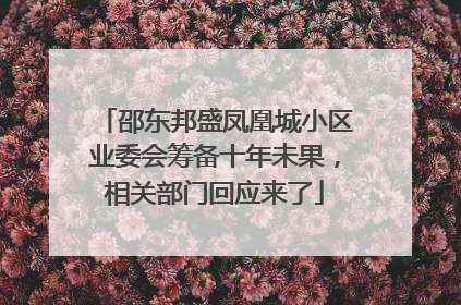 邵东邦盛凤凰城小区业委会筹备十年未果，相关部门回应来了