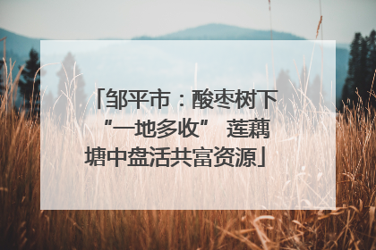 邹平市：酸枣树下“一地多收” 莲藕塘中盘活共富资源