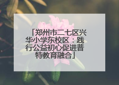 郑州市二七区兴华小学东校区：践行公益初心促进普特教育融合