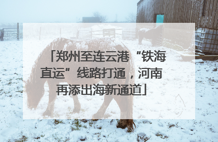 郑州至连云港“铁海直运”线路打通，河南再添出海新通道