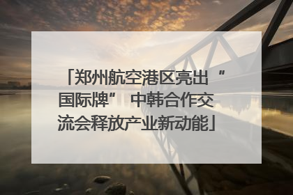 郑州航空港区亮出“国际牌” 中韩合作交流会释放产业新动能