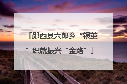郧西县六郎乡“银茧”织就振兴“金路”