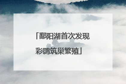 鄱阳湖首次发现彩鹮筑巢繁殖