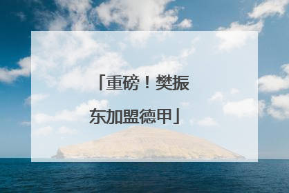 重磅！樊振东加盟德甲