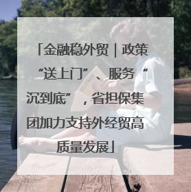 金融稳外贸｜政策“送上门”、服务“沉到底”，省担保集团加力支持外经贸高质量发展