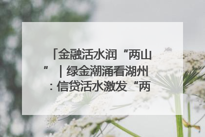 金融活水润“两山”｜绿金潮涌看湖州：信贷活水激发“两山”转化势能