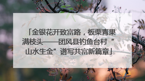 金银花开致富路，板栗青果满枝头——团风县钓鱼台村“山水生金”谱写共富新篇章