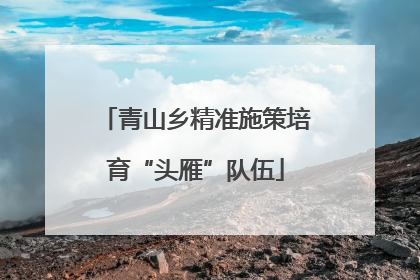 青山乡精准施策培育“头雁”队伍