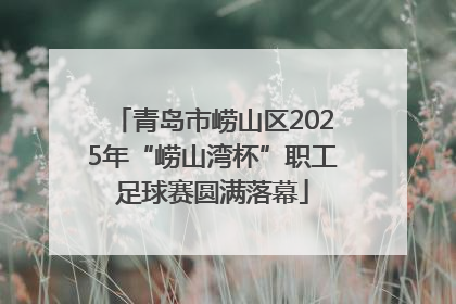 青岛市崂山区2025年“崂山湾杯”职工足球赛圆满落幕