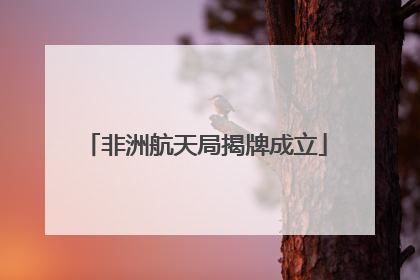 非洲航天局揭牌成立