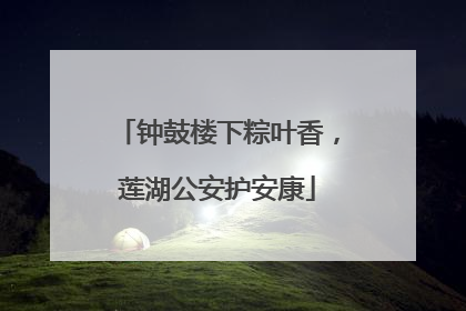钟鼓楼下粽叶香，莲湖公安护安康