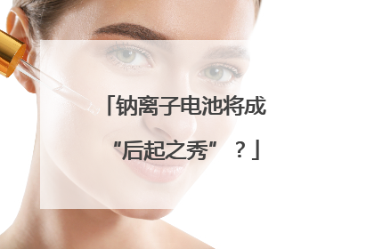 钠离子电池将成“后起之秀”？