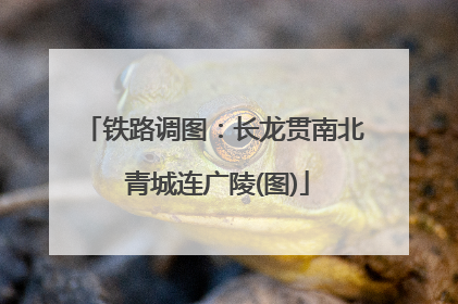 铁路调图：长龙贯南北 青城连广陵(图)