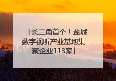 长三角首个！盐城数字视听产业基地集聚企业113家