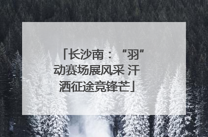 长沙南：“羽”动赛场展风采 汗洒征途竞锋芒