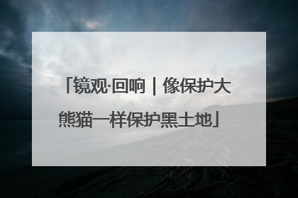 镜观·回响｜像保护大熊猫一样保护黑土地