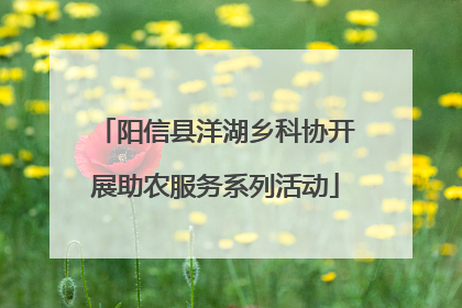 阳信县洋湖乡科协开展助农服务系列活动