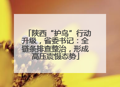 陕西“护鸟”行动升级，省委书记：全链条排查整治，形成高压震慑态势