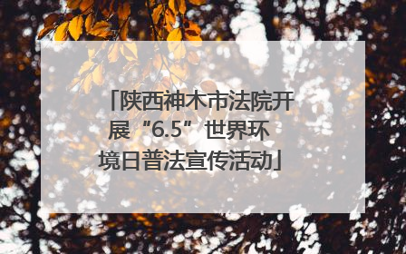 陕西神木市法院开展“6.5”世界环境日普法宣传活动