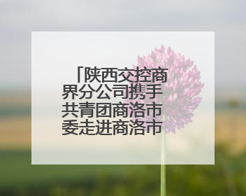 陕西交控商界分公司携手共青团商洛市委走进商洛市儿童福利院